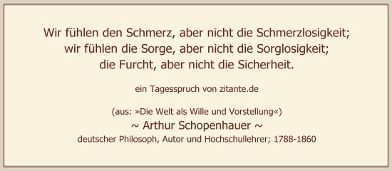 0222_Arthur Schopenhauer