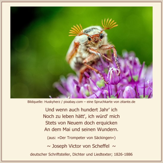 0501_Joseph Victor von Scheffel