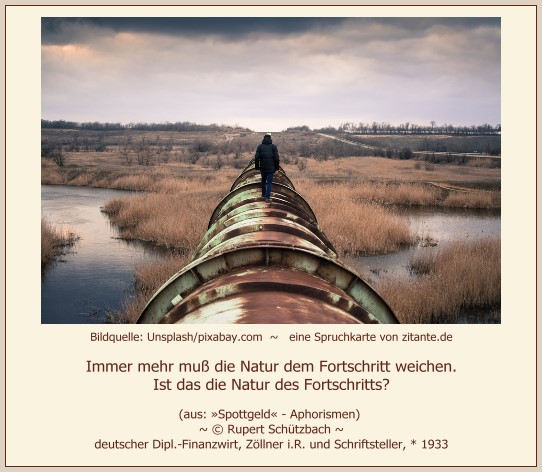 1204_Rupert Schützbach