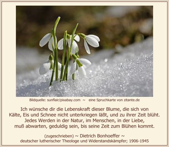 0204_Dietrich Bonhoeffer