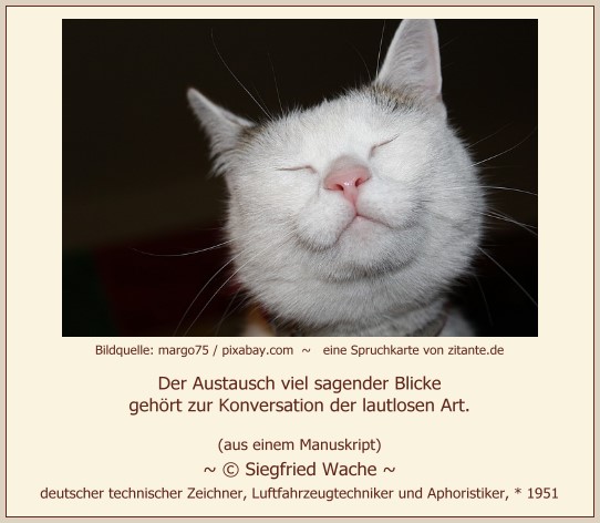 0525_Siegfried Wache