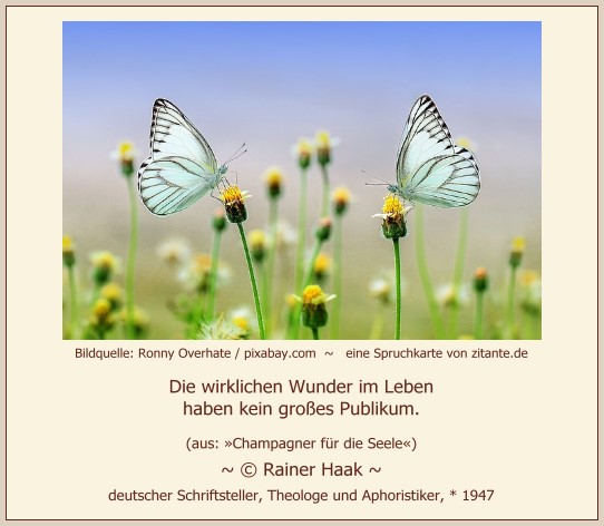 0531_Rainer Haak