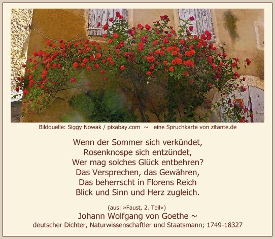 0601_Johann Wolfgang von Goethe