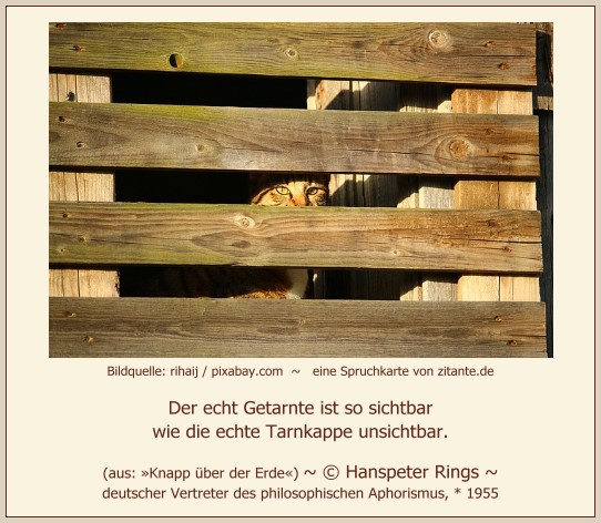 0708_Hanspeter Rings