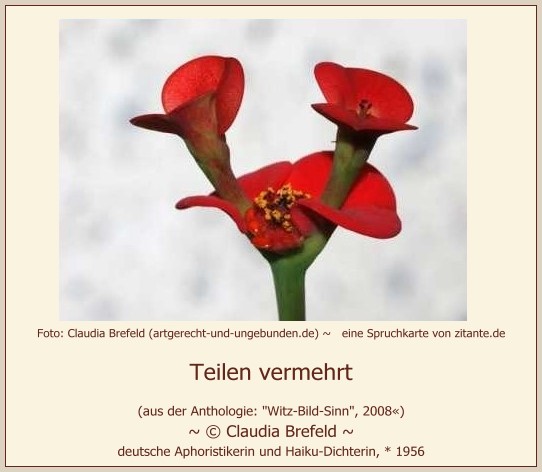 0810_Claudia Brefeld