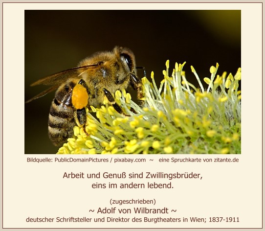 0824_Adolf von Wilbrandt