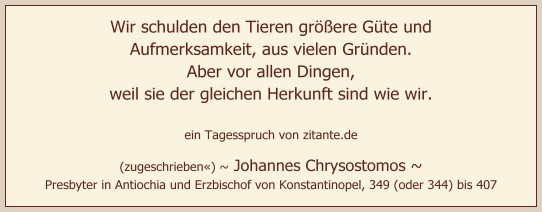 0914_Johannes Chrysostomos