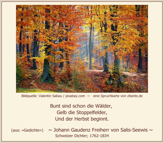 0922_Johann von Salis-Seewis