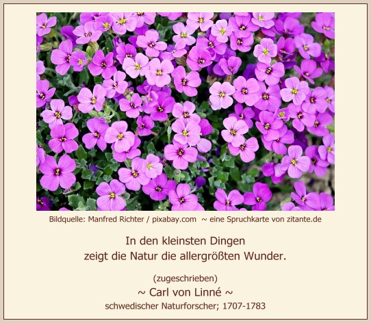 0616_Carl von Linné