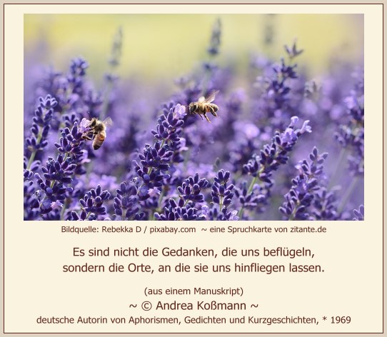 0728_Andrea Koßmann