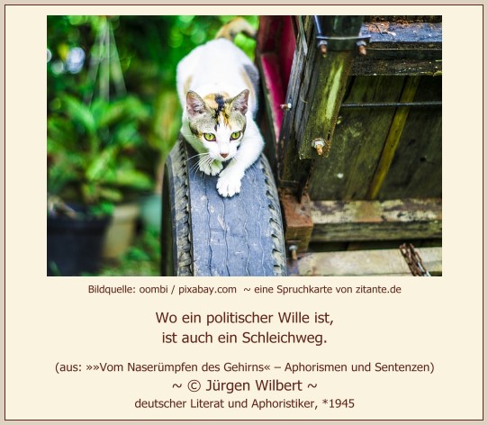 0802_Jürgen Wilbert