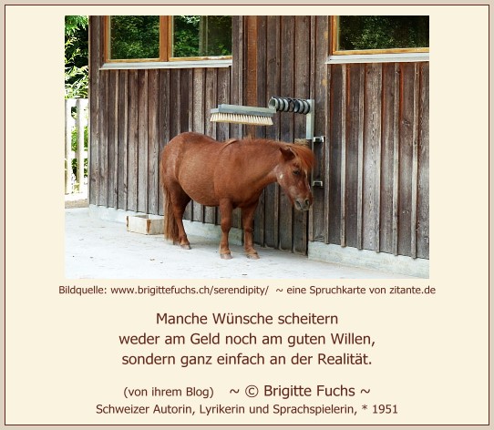 0818_Brigitte Fuchs