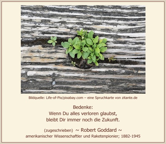 1008_Robert Goddard