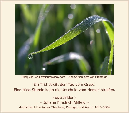 1029_Johann Friedrich Ahlfeld