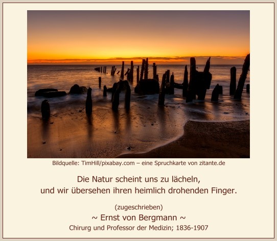 1216_Ernst von Bergmann