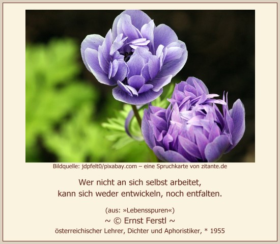 0218_Ernst Ferstl