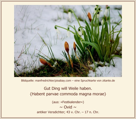 0320_Ovid