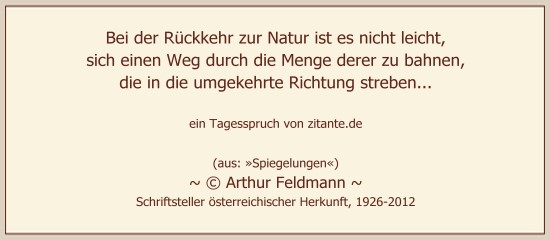 0412_Arthur Feldmann