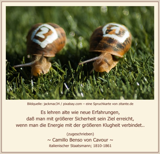 0810_Camillo von Cavour