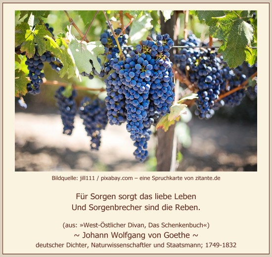 0828_Johann Wolfgang von Goethe