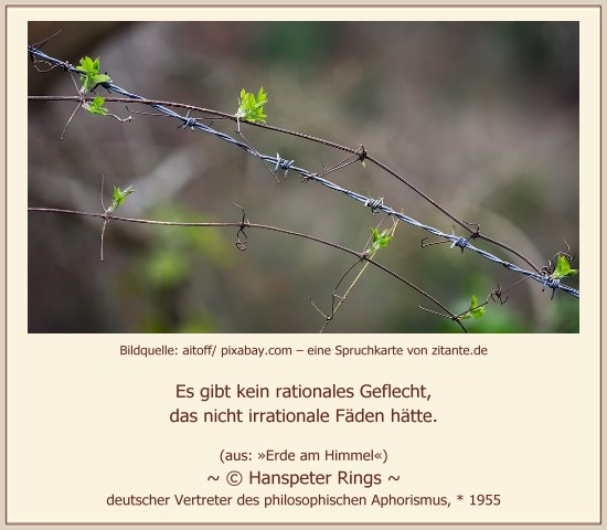 0919_Hanspeter Rings