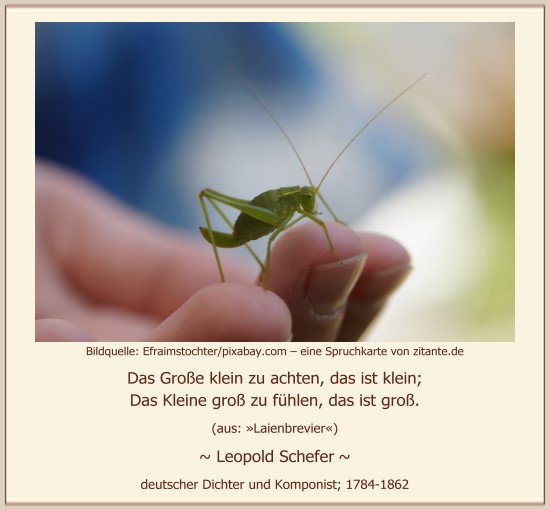 0730_Leopold Schefer