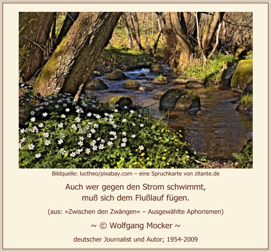 0731_Wolfgang Mocker