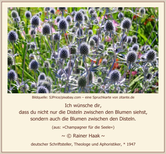 0901_Rainer Haak_Ich wünsche dir...