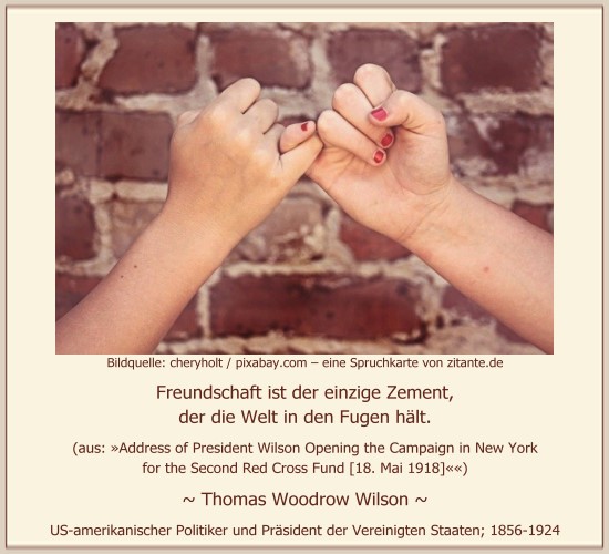 1228_Thomas Woodrow Wilson