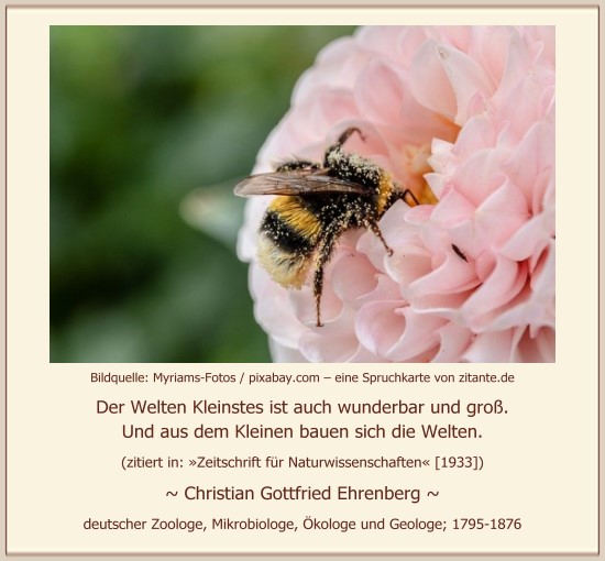 0108_Christian Gottfried Ehrenberg