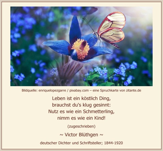 0124_Victor Blüthgen